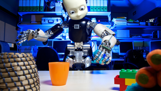 Unità di ricerca - Humanoid Sensing and Perception