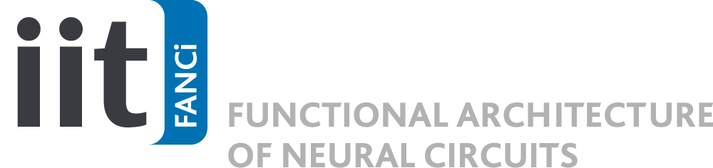 IIT